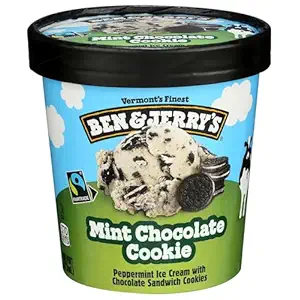 Mint Chocolate Cookie Ice Cream, 1 PT