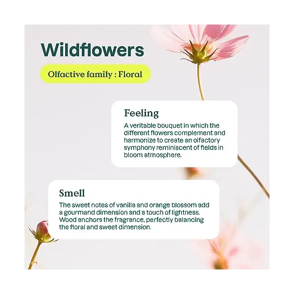 Wildflowers Dishwashing Liquid 4