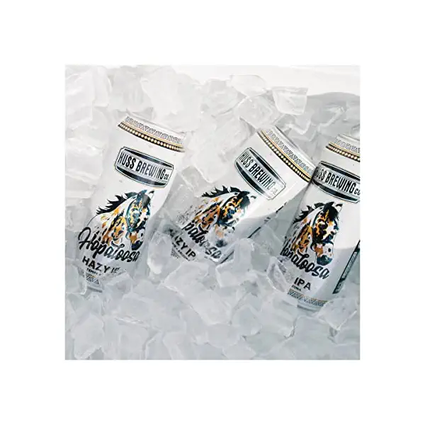 Hopaloosa 4 pack 16 oz can 3