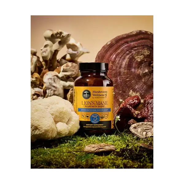 Organic Lion's Mane Reishi Blend, 90 CT 8