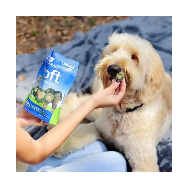 Brushless Toothpaste Large Dental Dog Treats, 18 OZ 8