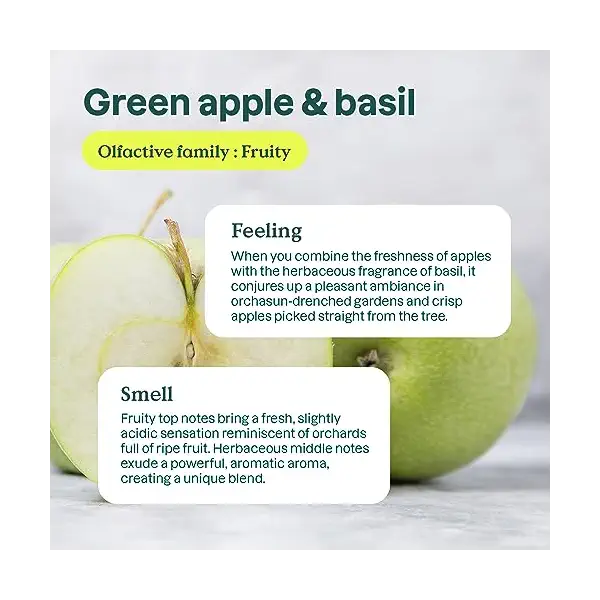 Green Apple & Basil Dishwashing Liquid 4