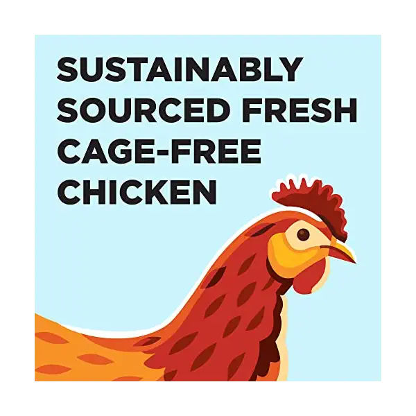 Chicken Pate Cat Food, 2.75 OZ 3