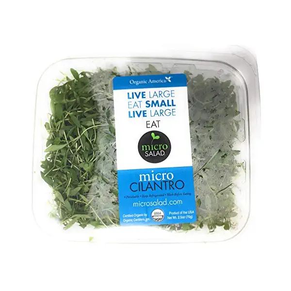 Organic Micro Cilantro 1