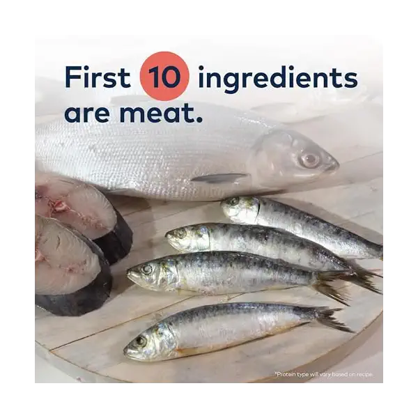 Steam Dried Chicken Whole Mackerel Cat Kibble, 16 OZ 4