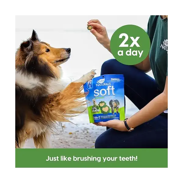 Brushless Toothpaste Small Dental Dog Treats, 12 OZ 6