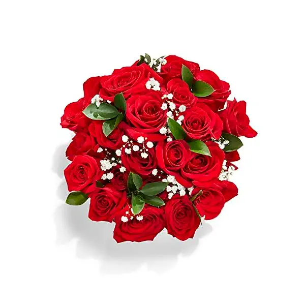Double Dozen Roses with Babies Breath and Greens 24 Stem 2