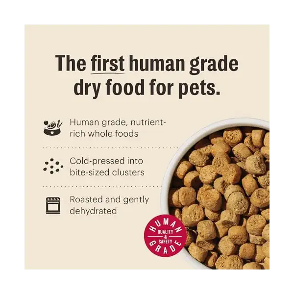 Grain Free-Turkey Whole Food Clusters Dry Dog Food, 5 LB 5
