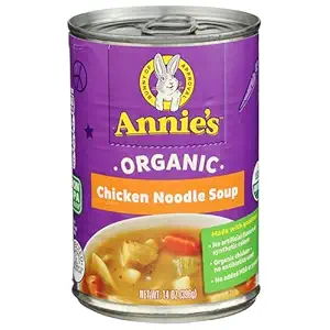 Organic Chicken Noodle Soup, 14 OZ