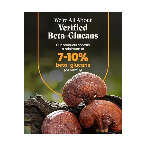 Organic Lion's Mane Reishi Blend, 90 CT 5