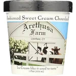 Chocolate Chip Ice Cream, 1 PT