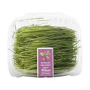 Organic Wheat Grass 4 Oz, 4 OZ