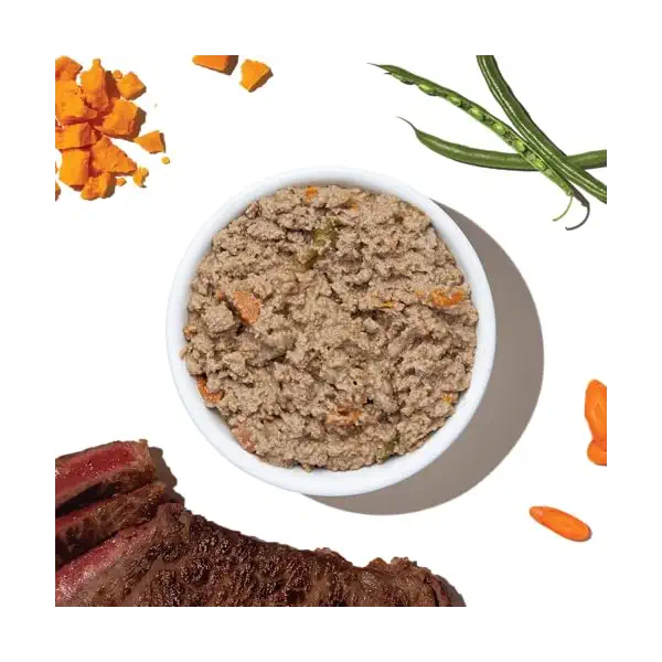 Beef, Cheddar and Veggies Pate Dog Food, 10.5 OZ 2