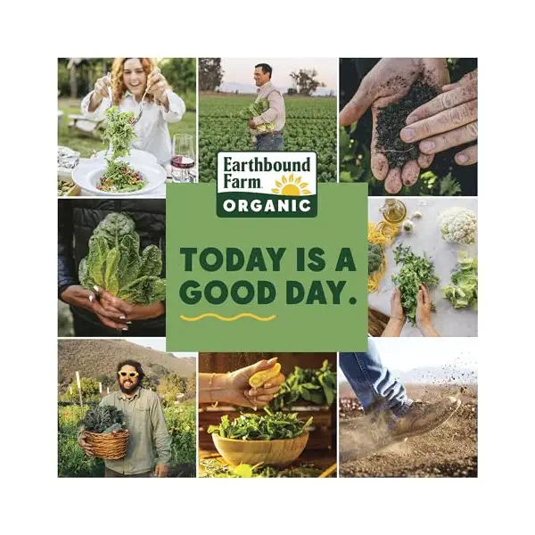 Organic Lemon Arugula Salad Kit, 7.1 OZ 2