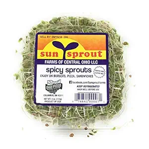 Spicy Sprouts, 4 OZ