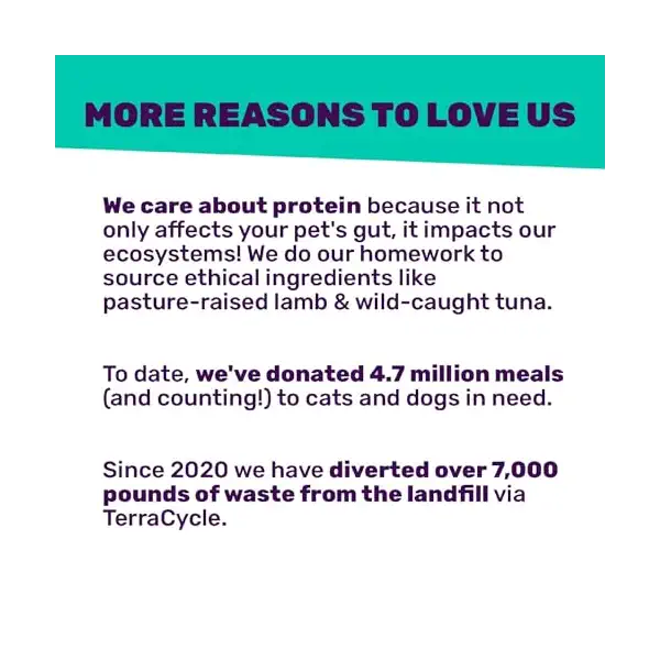 Stir and Boom Freeze-Dried Raw Free Beef Dry Dog Food, 1 LB 5