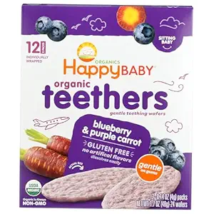 Organic Blueberry Purple Carrot Teethers 12 Count, 1.7 OZ