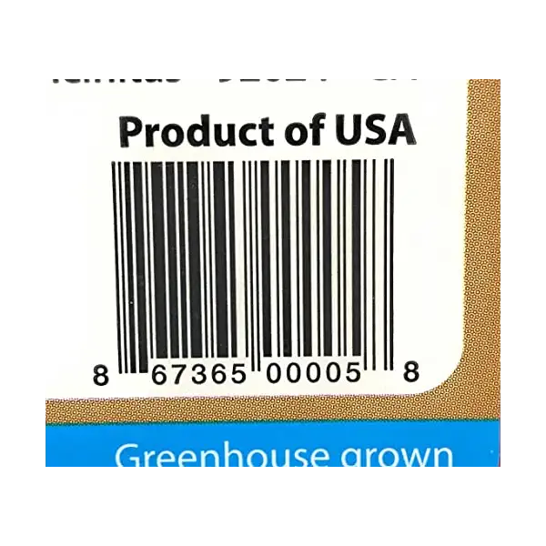 Flavorino Tomatoes, 16 OZ 4