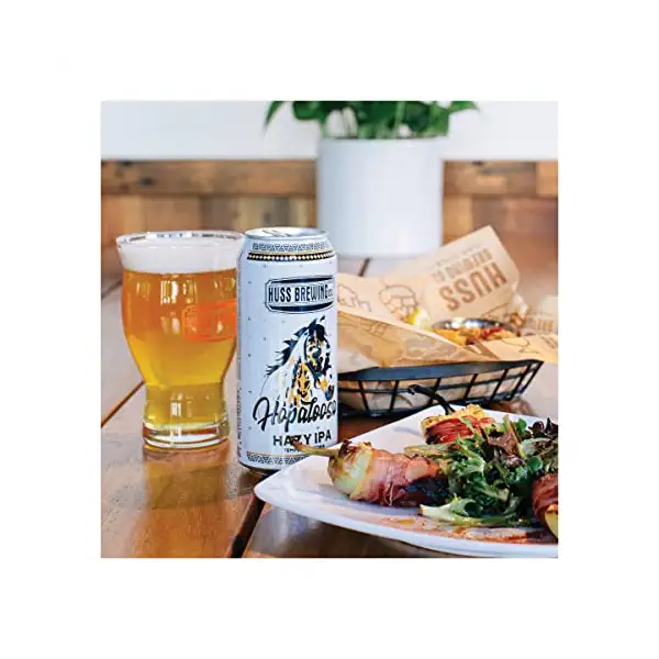 Hopaloosa 4 pack 16 oz can 2