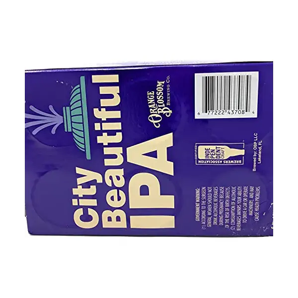 City Beautiful IPA 6pk Cans 2