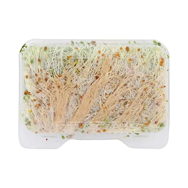 All Natural Nutty Salad 2