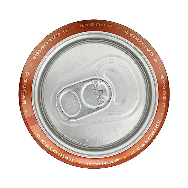 Spiced Apple Sparkling Water Single, 12 FZ 3