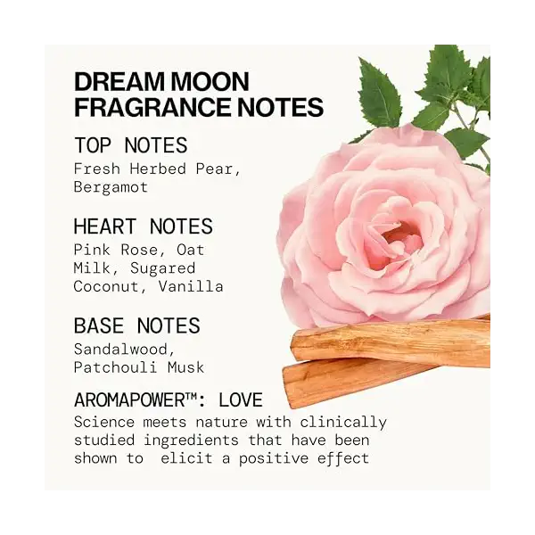 Take Me There Mini Perfume Set, 5 CT 5