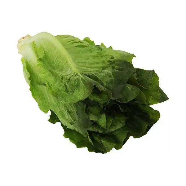 Romaine 1