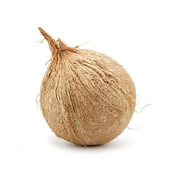 Organic Coconut Husked 1