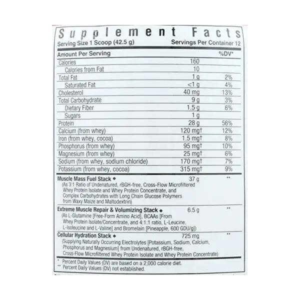 Extreme Edge Post Workout Chocolate 3