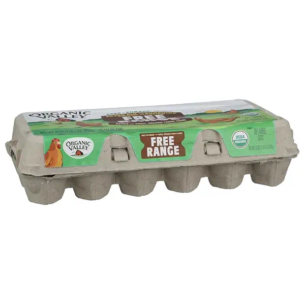 Organic Eggs Grade A Large Brown, 18 CT 2