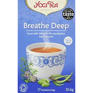 Organic Breathe Deep Tea, 17 CT