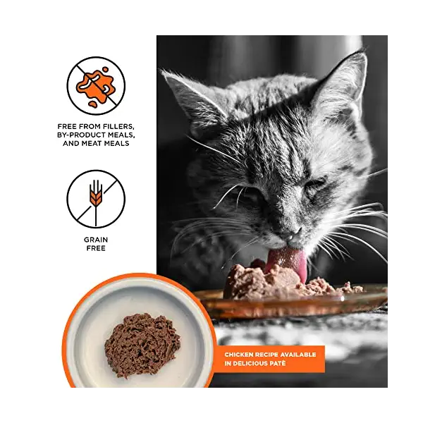 Chicken Pate Cat Food, 2.75 OZ 2