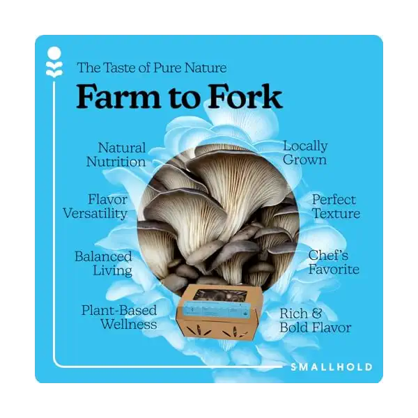 Organic Blue Oyster Mushrooms 3