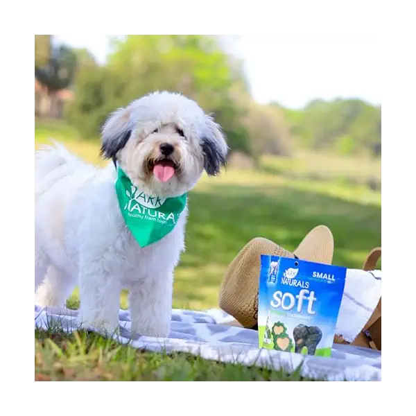 Brushless Toothpaste Small Dental Dog Treats, 12 OZ 5