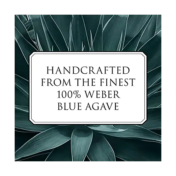 Patron Anejo Tequila, 375 ml Bottle 6