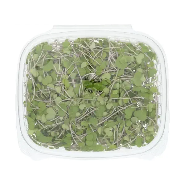 Organic Microgreens Kale Red Russian 2