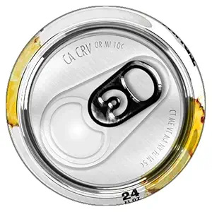 Pineapple Seltzer Sgl Can, 24 FZ