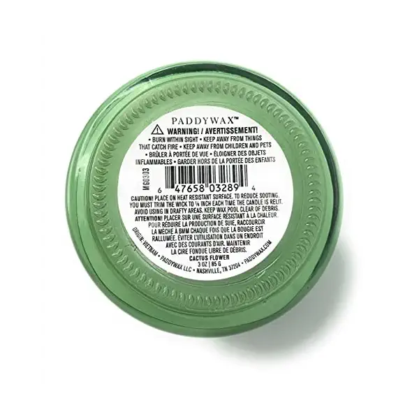 Mint Cactus Glass Beam Candle, 3 OZ 4