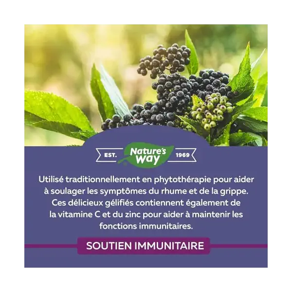 Sambucus Gummies 4