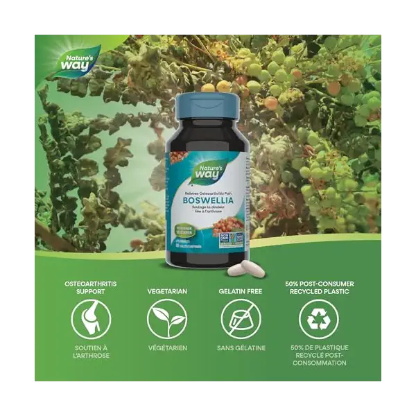 Boswellia Extract 2