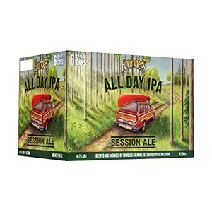 All Day IPA 6pk Cans, 12 FZ