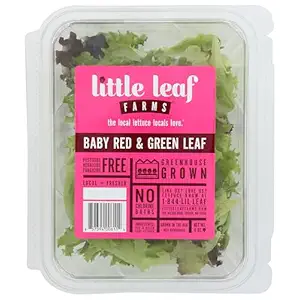 Baby Red & Green Leaf Lettuce, 4 OZ