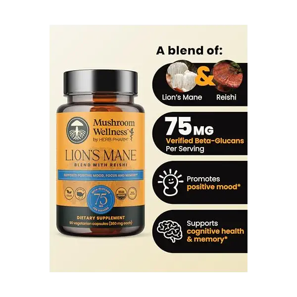 Organic Lion's Mane Reishi Blend, 90 CT 2
