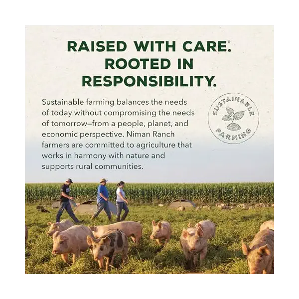 Boneless Whole Petite Ham 5