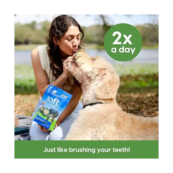 Brushless Toothpaste Large Dental Dog Treats, 18 OZ 7