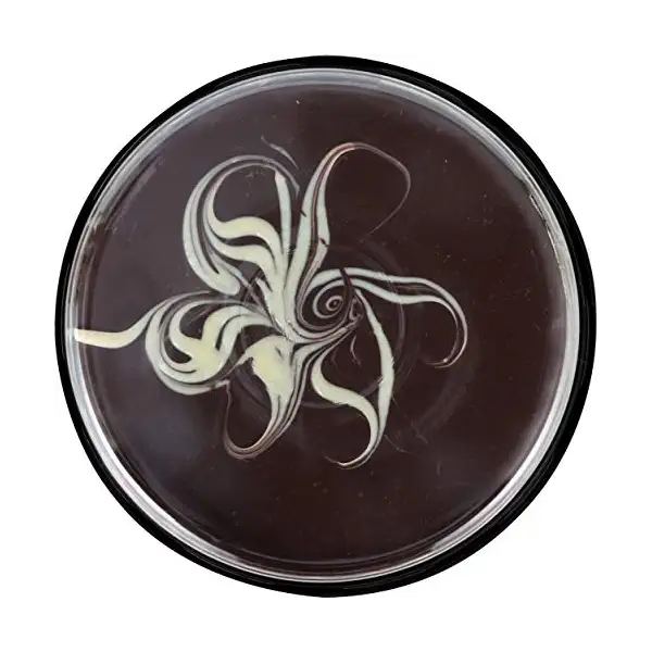 Chocolate Torte 6 Inch 8