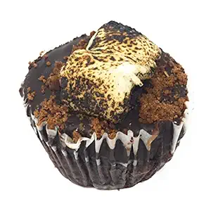Smores Campfire Cupcake
