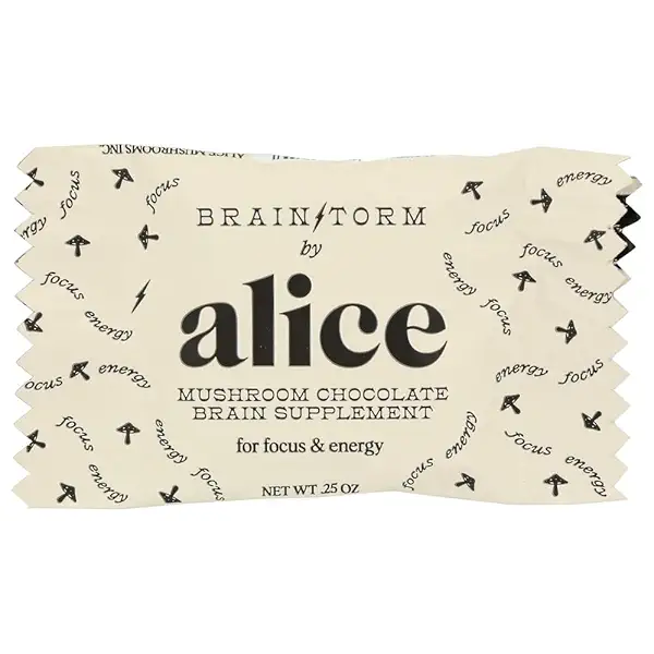 Brainstorm Mushroom Chocolate Single, 0.25 OZ 1