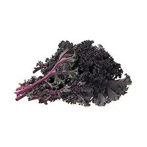 Organic Red Kale